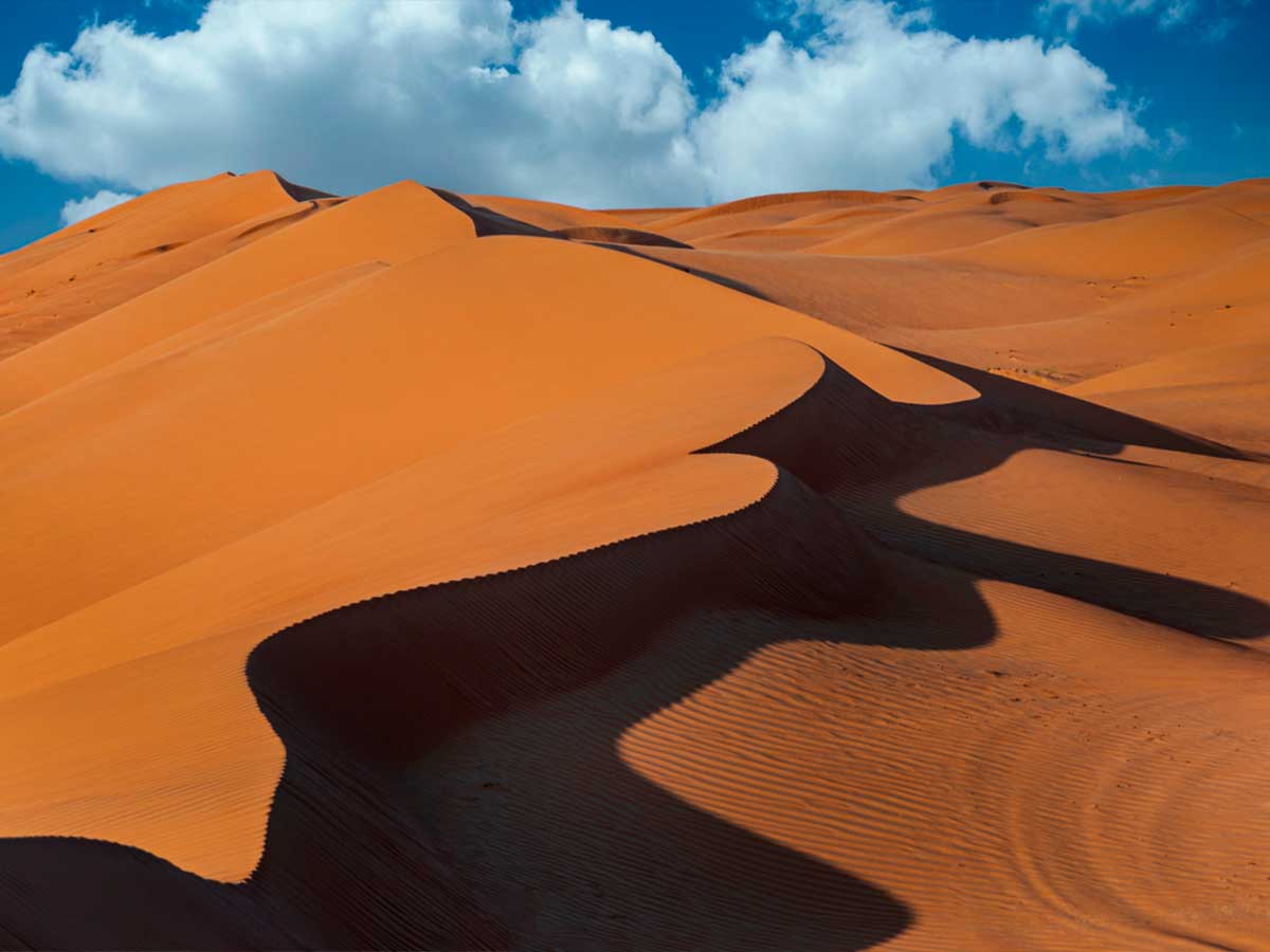 OMAN - Dune e Oasi - Wahiba